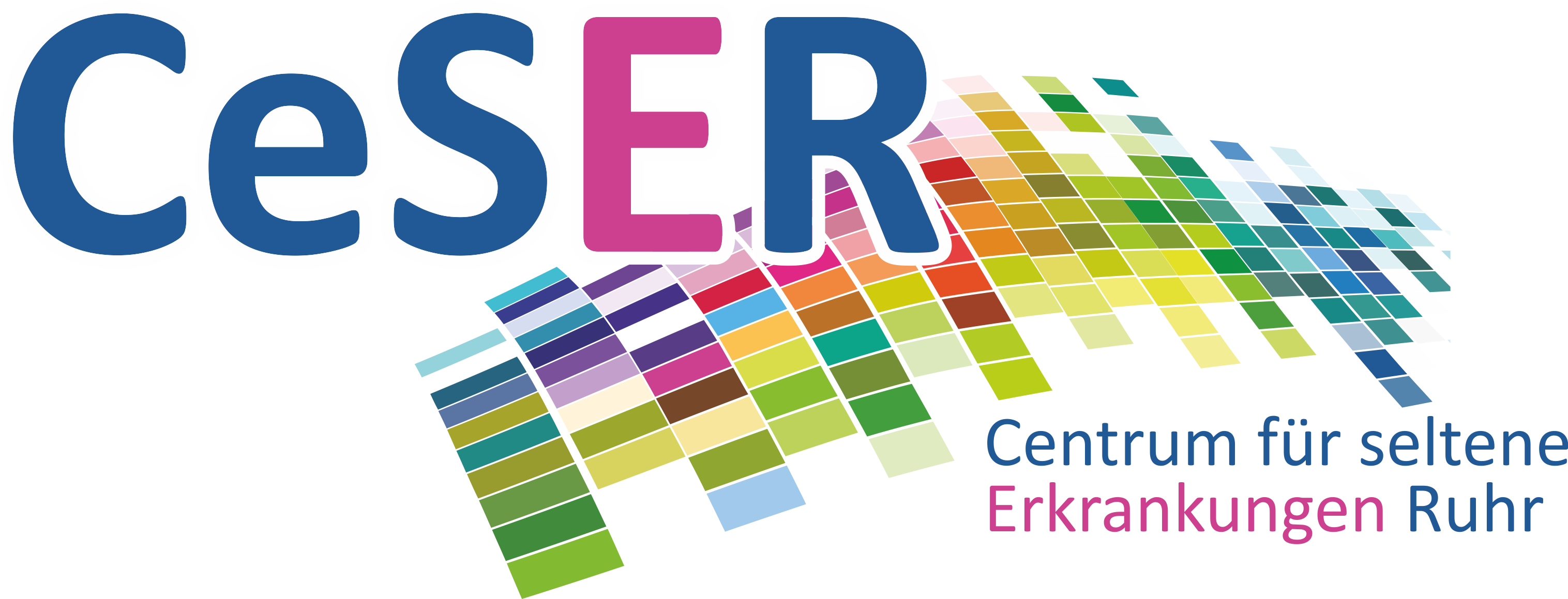 CeSER Logo
