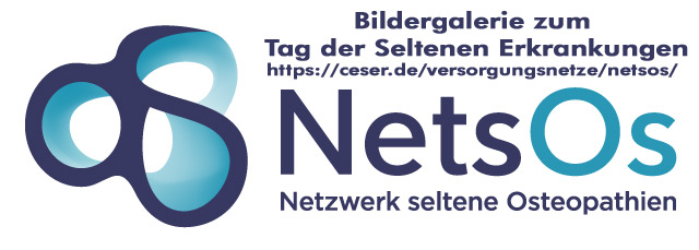 NetsOs Bildergalerie